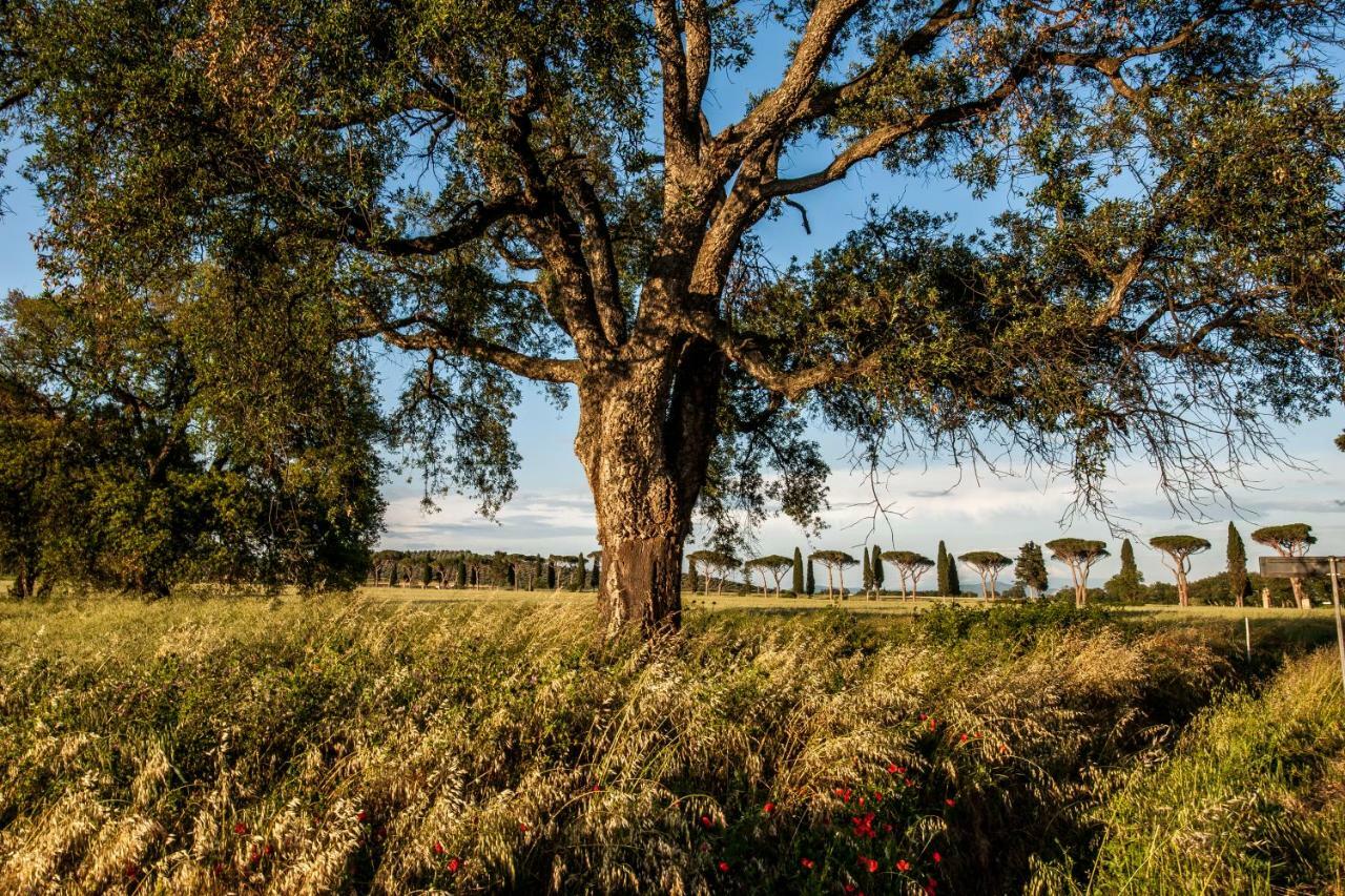Refugium Countryhouse Podere Cernaia ภายนอก รูปภาพ